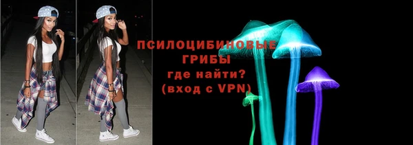 PSILOCYBIN Алексеевка