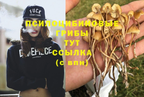 каннабис Алзамай