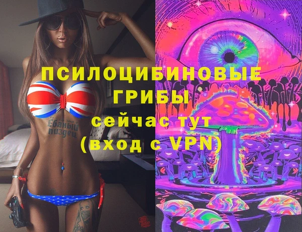 PSILOCYBIN Алексеевка