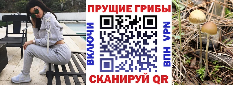 Галлюциногенные грибы мицелий магазин Кизел